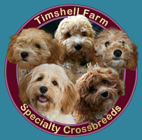 Timshell Farm Specialty Crossbreeds